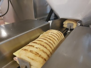 Factory Food Manufacturing