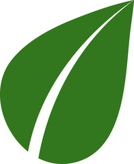 Eco icon green leaf vector illustration isolated.