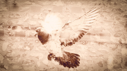 Flying Pigeon With Stone Texture in Sepia © Jacek Wojnarowski