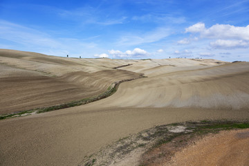 Rural Agricultural Land
