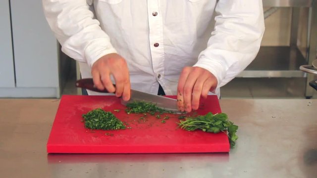 Close up shot of kitchener chopping grocery 