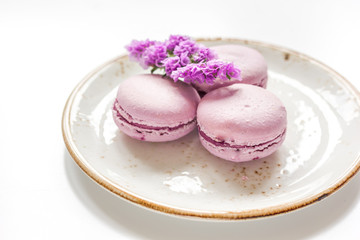 spring design in pastel color with macaroons and purple flowers