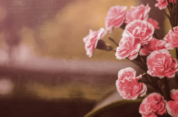 pink carnations blended with hard wood panel for background, filtered tones