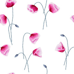 Fototapety  Seamless pattern with watercolor poppy flowers and buds on white background