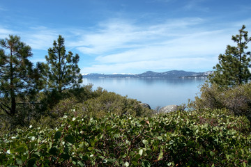 Fototapeta na wymiar Lake Tahoe Vista