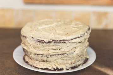 Homemade Chocolate Cake with White Frosting