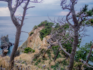 西伊豆黄金崎の風景