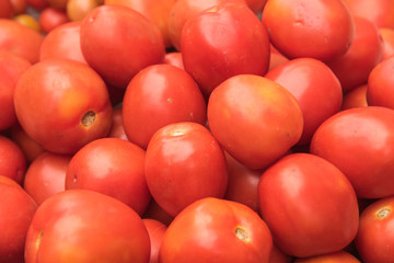 Group of red tomatoe