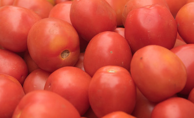 Group of red tomatoe