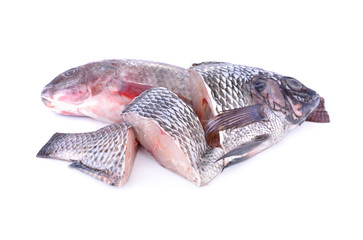 whole and portion cut fresh Nile Tilapia fish on white background