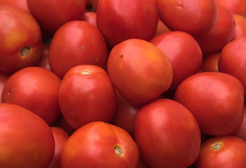 Group of red tomatoe