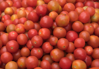 Group of red tomatoe
