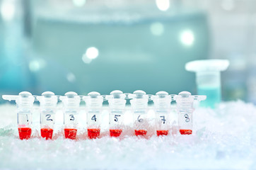 Tubes for DNA amplification by PCR on ice