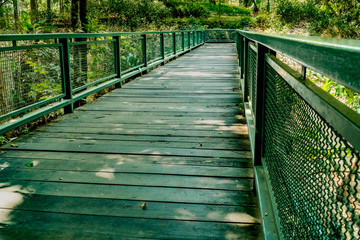 Obraz premium Small bridge in garden
