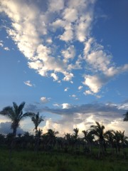 paisagem
