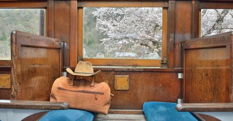 Obraz na płótnie Canvas 列車・旅・車窓の風景