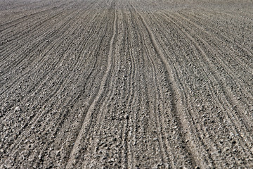 agricultural land. Agriculture farm field