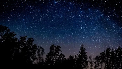 Fotobehang Night sky over rural landscape © milosz_g