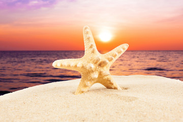 Obraz na płótnie Canvas Summer vacation concept. Summer Holidays in Beach Seashore. Summer background. Holiday season.