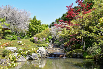 Fototapeta na wymiar 京都　退蔵院庭園