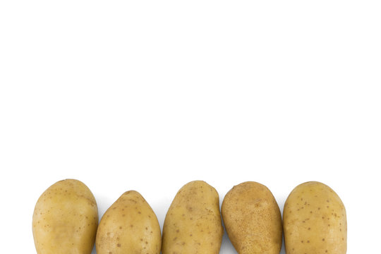 Potatoes isolated on white background with copy space