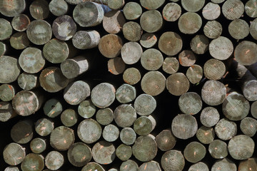 Stacks of Round Hops Posts Bundled, Laying on Side Showing Only the Ends, Green, Gray Color, No Ground, No Sky, Organic Background, Use Overlay for Copy/Text Space