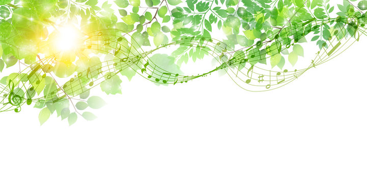 新緑　葉　春　背景 