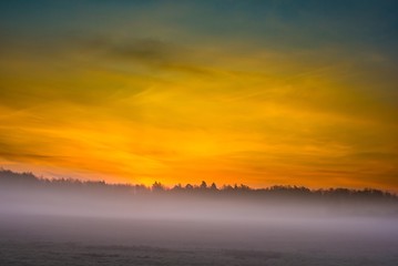 Beautiful foggy morning on polish meadow