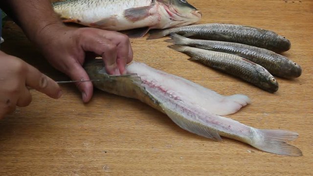 Cleaning fish in unsanitary conditions. Flies and wasps sit on the fish