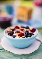 Tasty breakfast in the garden. Yogurt with fresh berry fruit and toast.