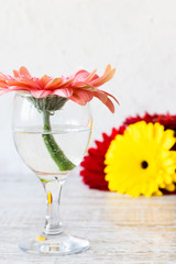 Beautiful pink flower in a glass with water