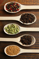Set of different spices