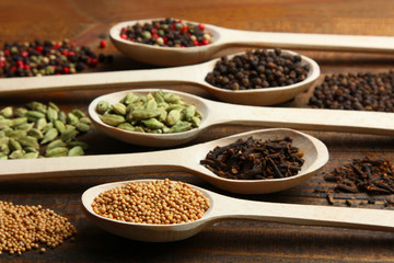 Set of different spices