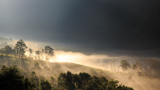 A beautiful morning mist in Doi Luang Chiang Dao, Chiang Dao, Thailand.