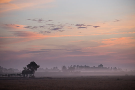 Morning fog and Sun rise in the field