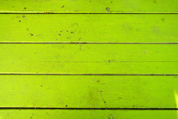 wood texturewood texture background  and  plants