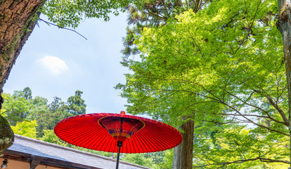Red Umbrella and beautiful gardens in Nara, Japan
