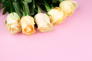 Bouquet of beige roses on pink background, top view, copy space. Mothers day. Valentines day
