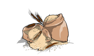 Illustrazione di cereali e farina
