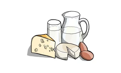 Foto op Plexiglas Zuivelproducten Illustratie van melk, zuivel en kaas in de keuken