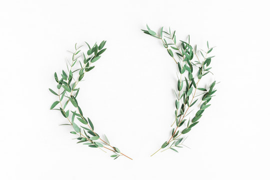 Eucalyptus on white background. Wreath made of eucalyptus branches. Flat lay, top view