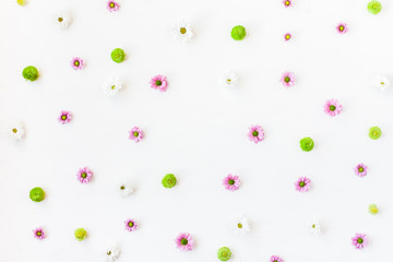 Flowers composition. Frame made of various colorful flowers on white background. Flat lay, top view