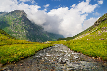 Mountain stream in the valley