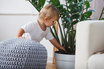cute baby boy exploring home plants indoors