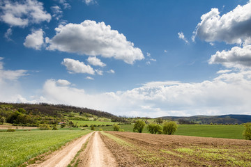 Fototapeta na wymiar Spring countryside with dirt road through green fields