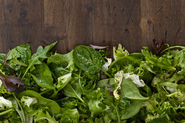 Fresh green salad with spinach,arugula and lettuce
