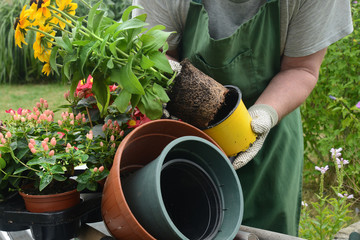 Garten 769