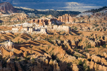 Bryce canyon in first morning light