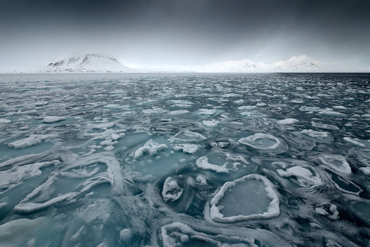 Fototapeta Land of ice. Winter Arctic. White snowy mountain, blue glacier Svalbard, Norway. Ice in ocean. Iceberg in North pole. Black clouds with ice floe. Beautiful landscape. Cold sea  water.