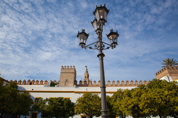 Seville cathedral Giralda tower from Alcazar of Sevilla Andalusia Spain.